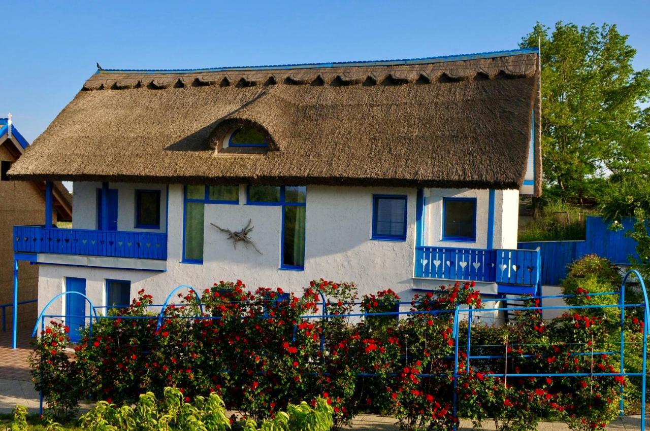 Nena Art Resort Dunavăţu de Jos エクステリア 写真