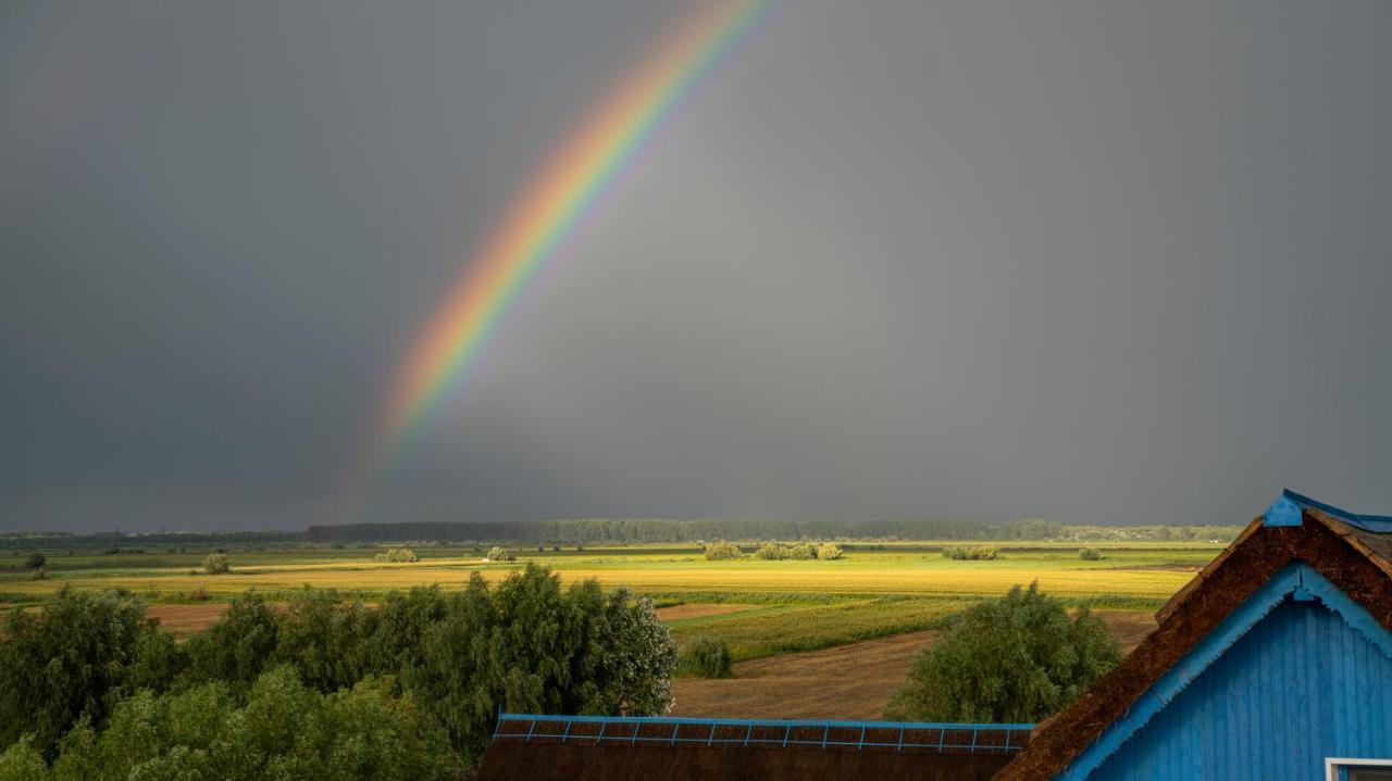 Nena Art Resort Dunavăţu de Jos エクステリア 写真