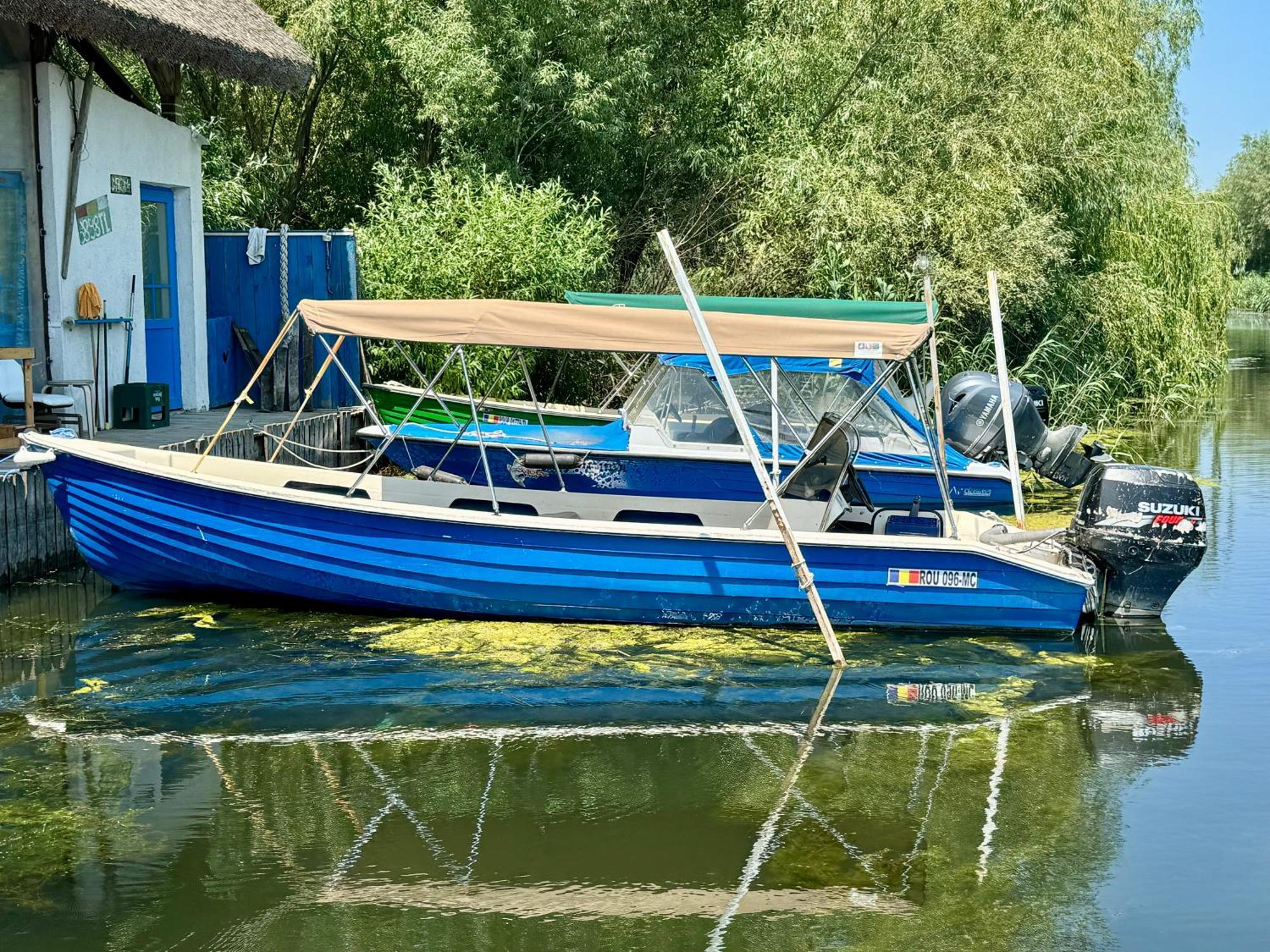 Nena Art Resort Dunavăţu de Jos エクステリア 写真