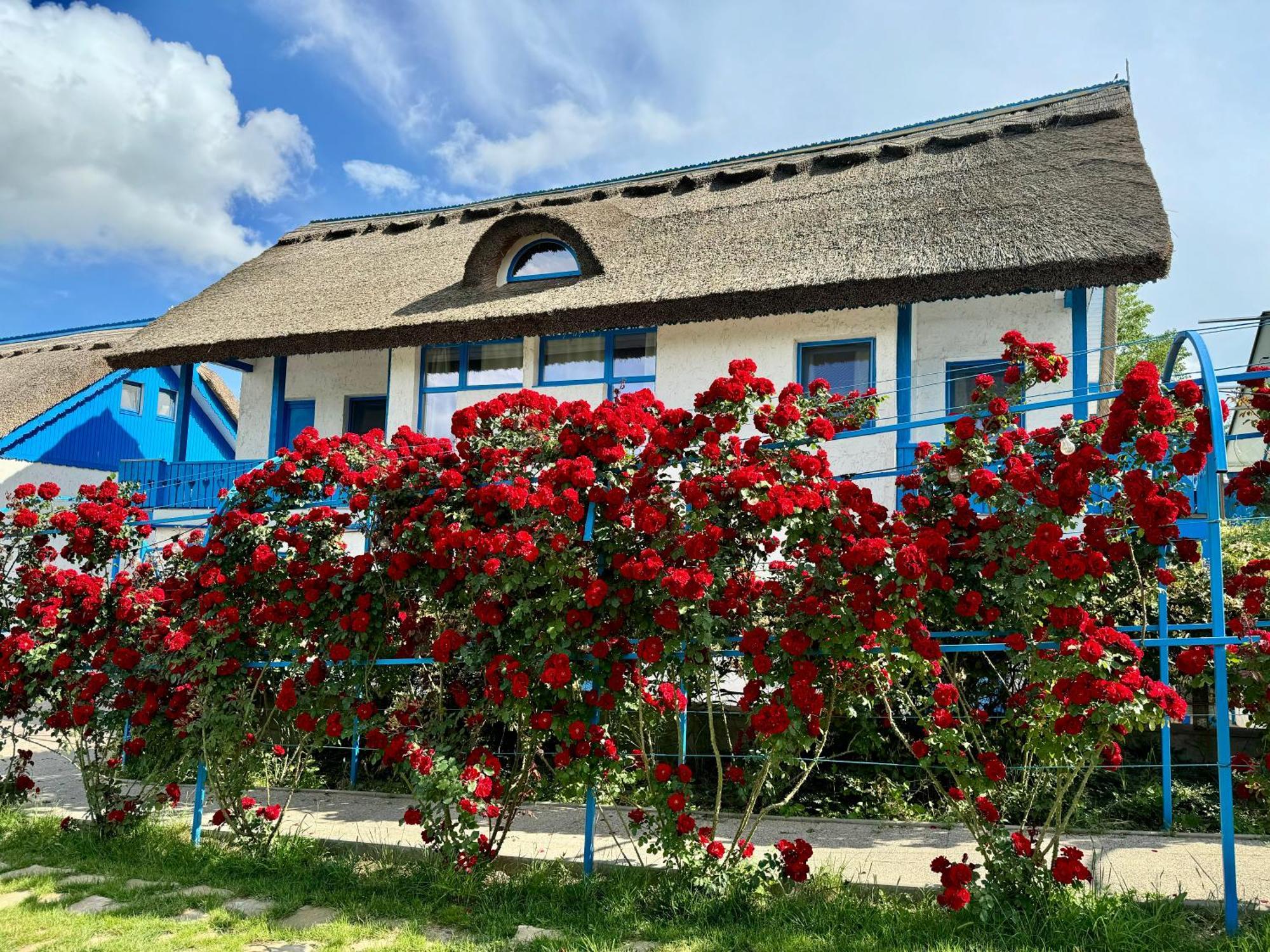 Nena Art Resort Dunavăţu de Jos エクステリア 写真