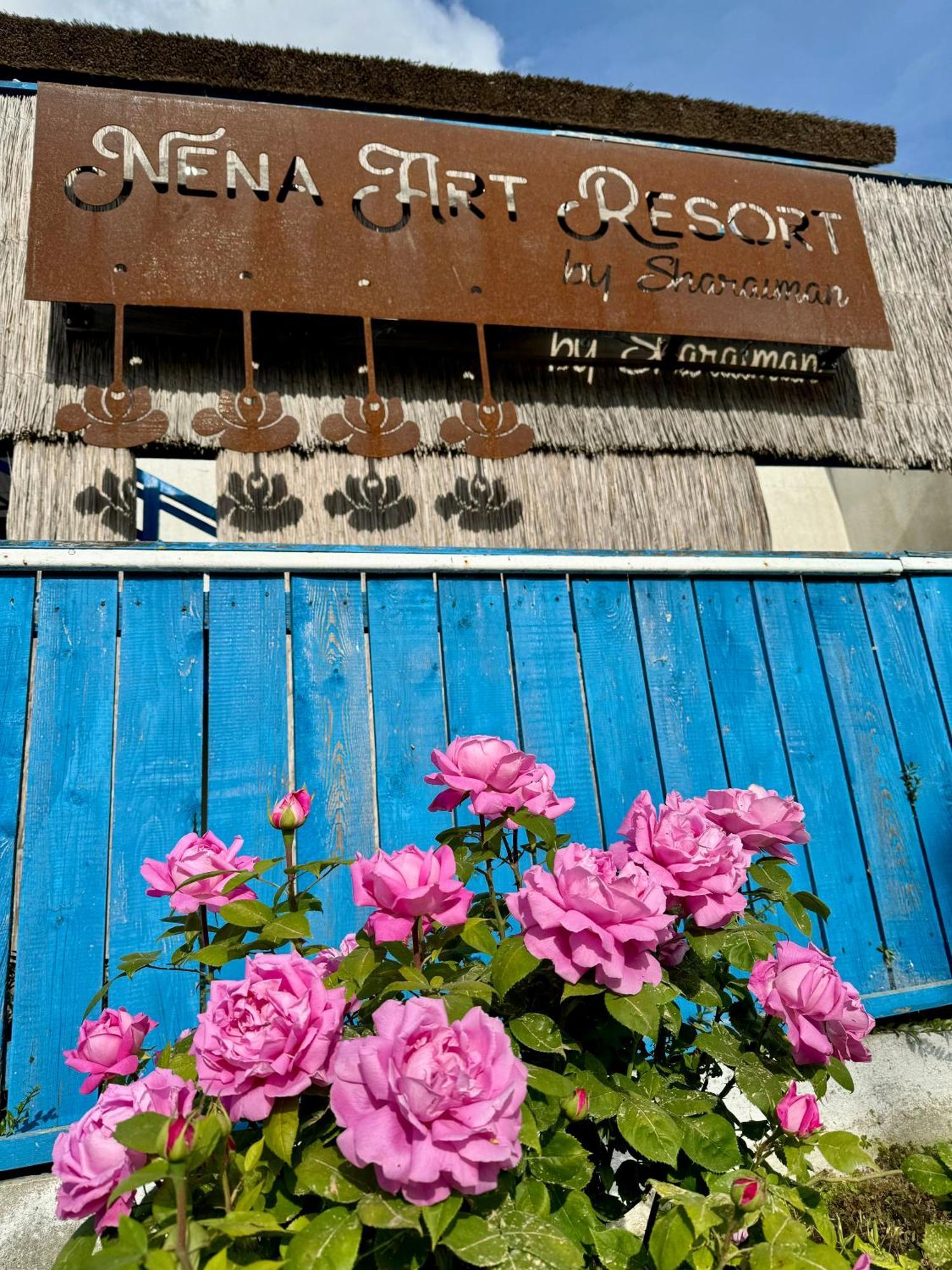 Nena Art Resort Dunavăţu de Jos エクステリア 写真