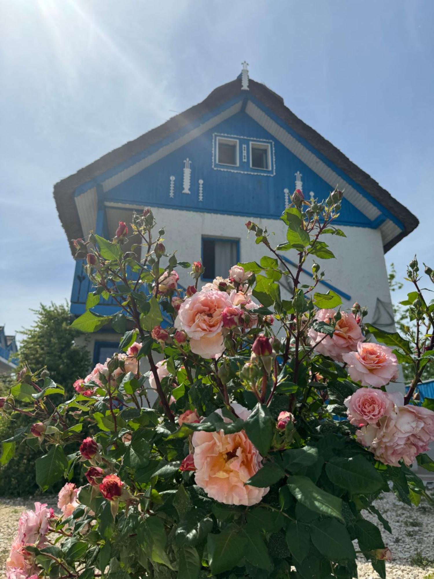 Nena Art Resort Dunavăţu de Jos エクステリア 写真