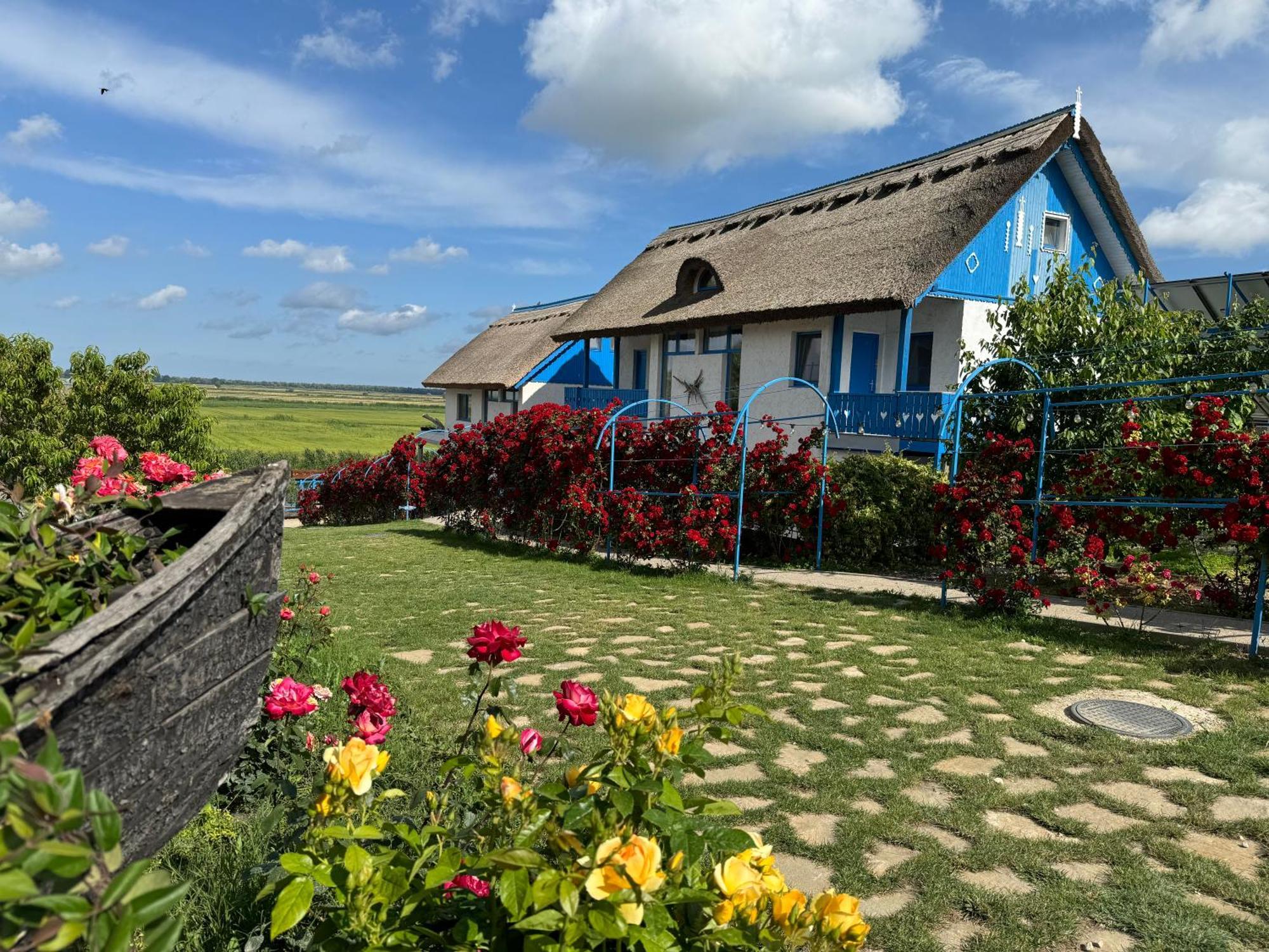 Nena Art Resort Dunavăţu de Jos エクステリア 写真