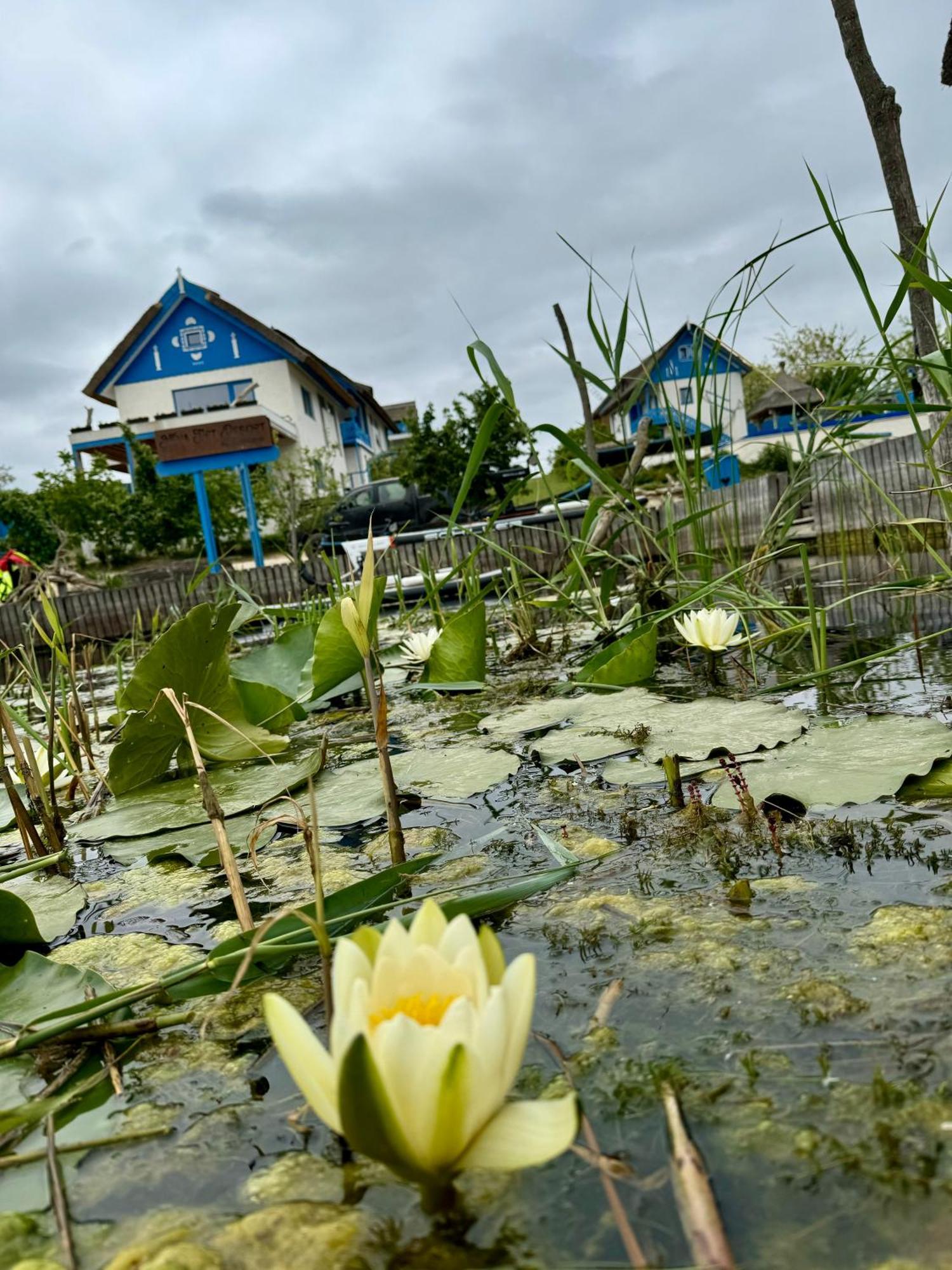 Nena Art Resort Dunavăţu de Jos エクステリア 写真